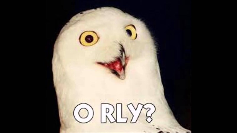 O RLY? owl